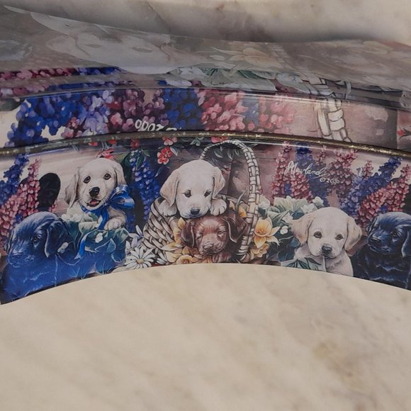 The Tin Box Company 2001 Bone Shaped Tin 7" length 2" Deep - Picture 2 of 10